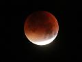 D_20150928-040444 IMG_7637a a